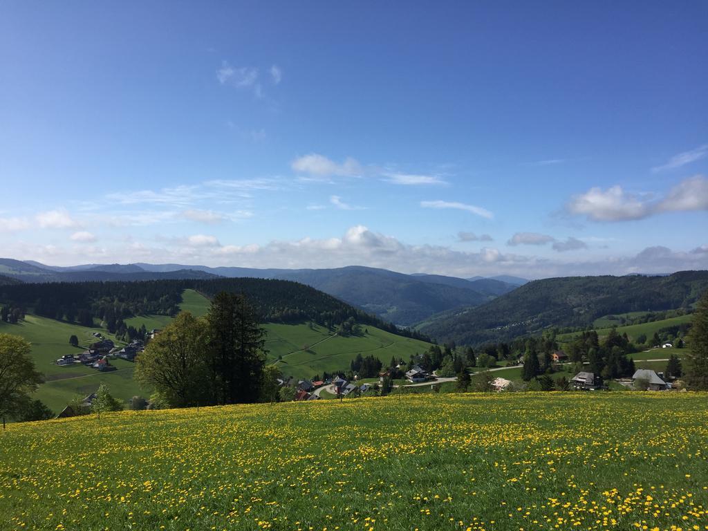 Pension Gloecklehof Todtnauberg Buitenkant foto